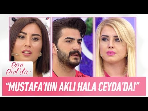 Mustafa'nın talibi: \