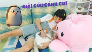 Đang Nằm Ngủ Thì Em Cánh Cụt Bị Bắt Cóc