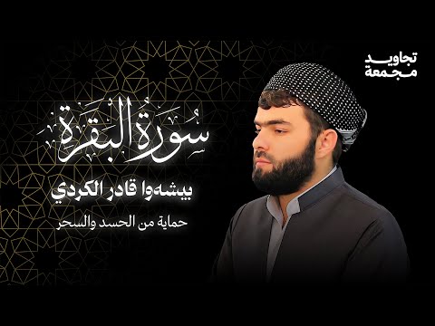 لحماية المنزل من الحسد والسحر - الشيخ بيشةو قادر الكردى | سورة البقرة