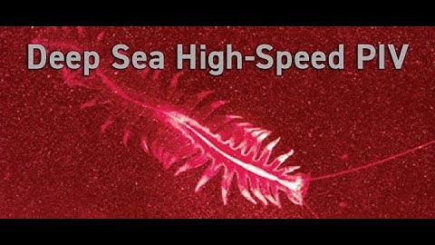 Deep Sea High-Speed PIV