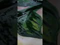 Tips on Painting on Cotton Canvas #canvaslot #customcanvas