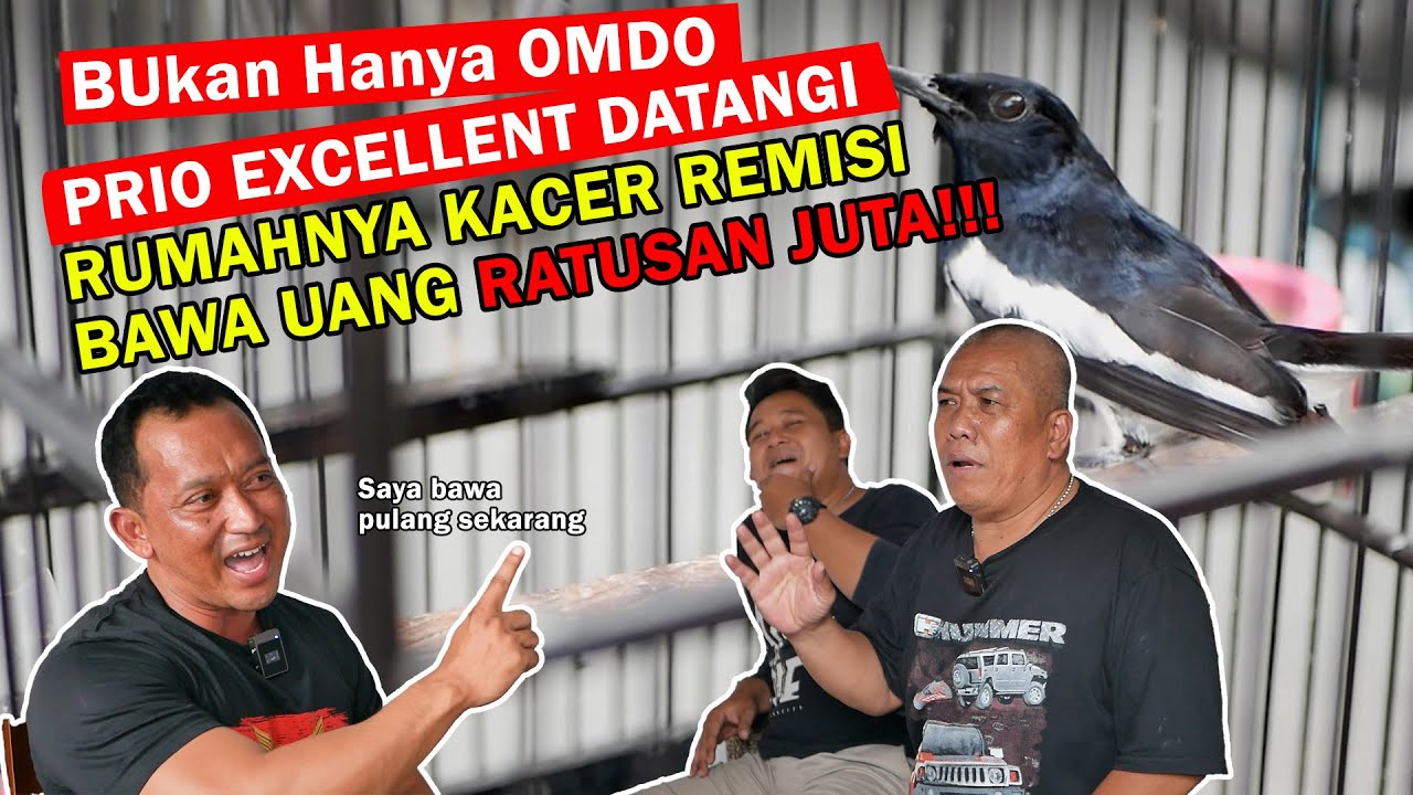 Kepanasan!!! Mr. Prio Langsung Datangi Rumah Kacer Remisi Dengan Harapan Bisa Langsung Bawa Pulang