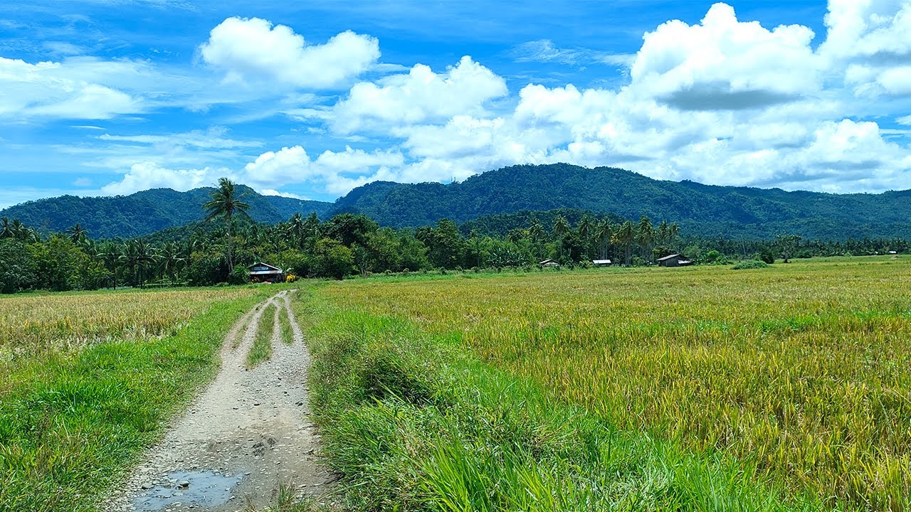 Brgy. Capili-an Abuyog Leyte road trip