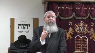 הרב יגאל לרר, פרשת שלח לך, ישיבת מרכז הרב - כ"א סיון תשע"ז