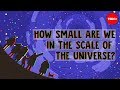 How small are we in the scale of the universe? - Alex Hofeldt