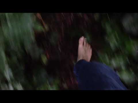 Walking Barefoot with no shoes on soil, twigs and leaves