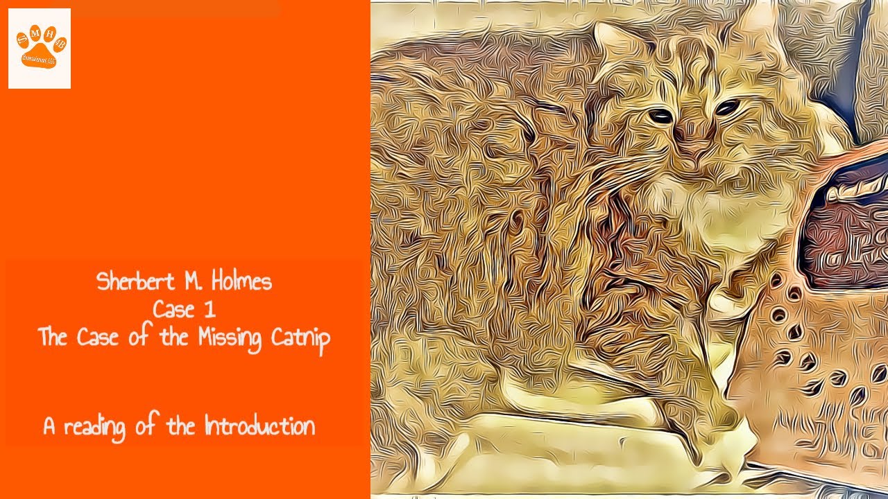 Sharbert Book Sherbert M Holmes: Case 1 The Case of the Missing Catnip - a short ...