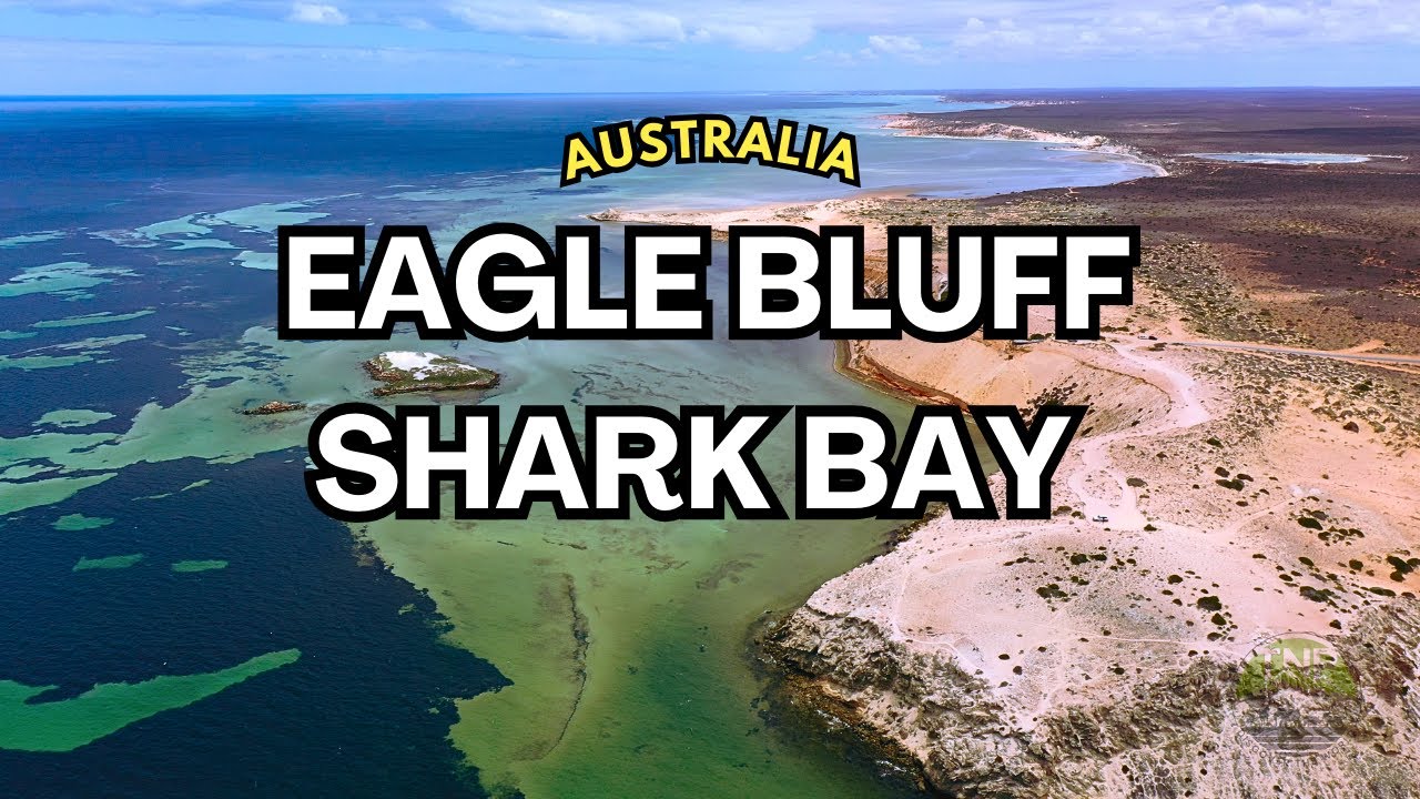 4K Drone View of Eagle Bluff, Shark Bay, Australia | The Nature Project