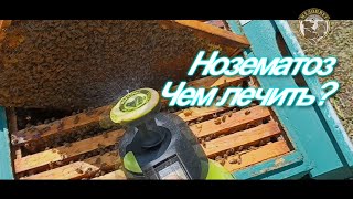Чем лечить нозематоз Здоровые пчелы Чистый Мёд Как добиться