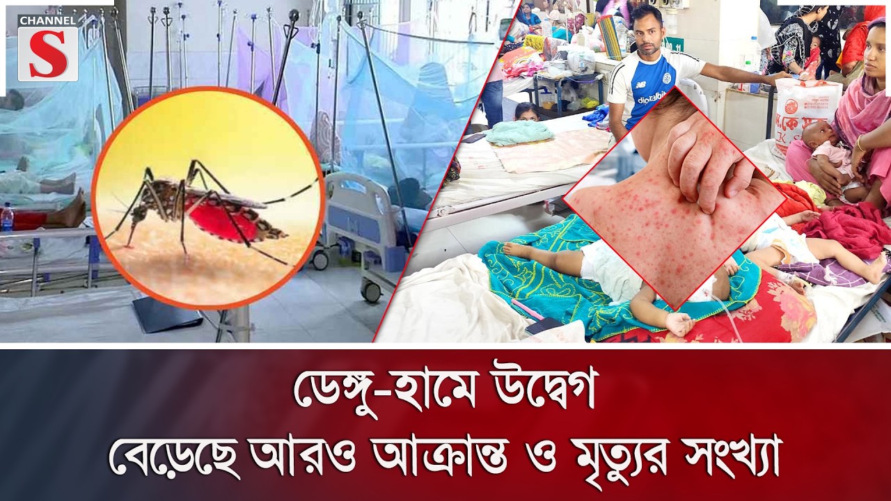 ডেঙ্গু-হামে উদ্বেগ; বেড়েছে আরও আক্রান্ত ও মৃ/ত্যুর সংখ্যা | Dengue | Measles | Channel S News