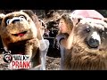 Bear Safety | Walk the Prank | Disney XD