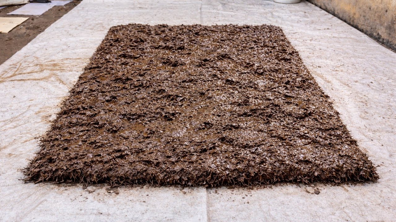 Crushing Lumpy Rug Heavy Mud Rug Cleaning | Deep Scrub on a Dirty Shaggy Carpet ...