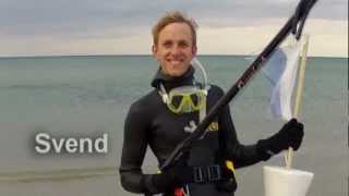Details Spearfishing Bonnerup, Denmark Guide