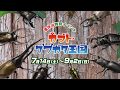 神戸どうぶつ王国 2018年夏休みCM