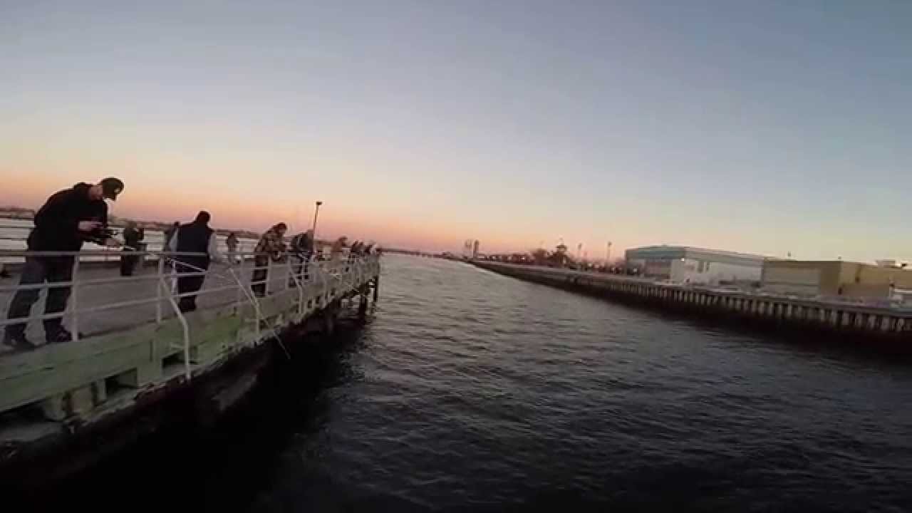 Line Up Herring Fishing at Magnolia Pier Long Beach Fishing NY YouTube