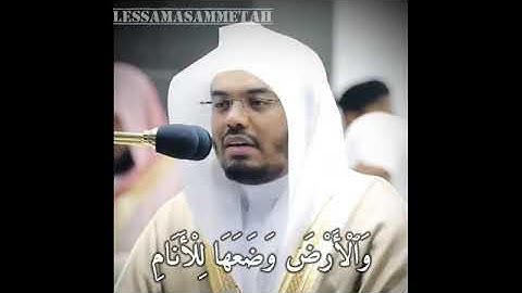 تلاوة عطرة للشيخ ياسر الدوسري😍 من سورة الرحمن!! حالات واتس اب دينية ❤️🌹