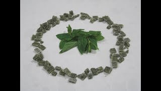 Super easy and fast breath referesher - sorbitol breath mints!