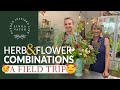 ❗️TRY THESE❗️ Herb & Flower Combos💚 || Linda Vater