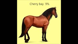 Purebred Spanish Horses Coat Colors hawrse