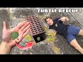 RESCUED ! BABY TURTLES FOUND TRAPPED In SEWER !