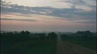 Tony Anderson - Ancestral