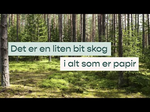 Det er en liten bit skog i alt som er papir.