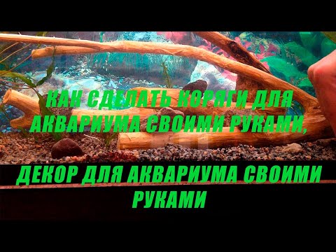 Video: Hoe Om 'n Akwarium Skoon Te Maak