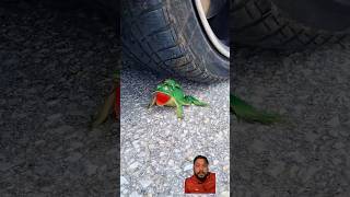 Crsuhing of soft and crunchy items with car tyres 🛞 #tyre #crushing #crunchy #asmr#short screenshot 5