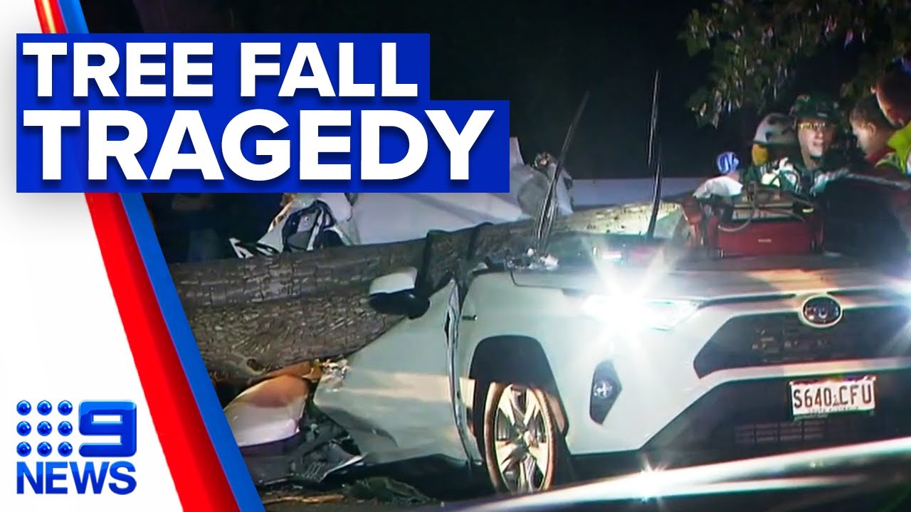 Woman killed by fallen tree branch | 9 News Australia - YouTube
