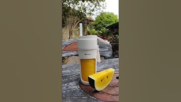 Fresh Juice anytime with Portable Blender