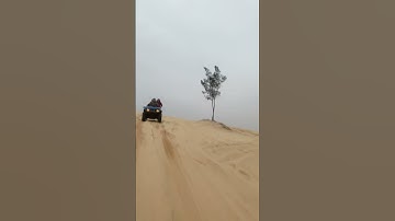 Tết Quý Mão 2023