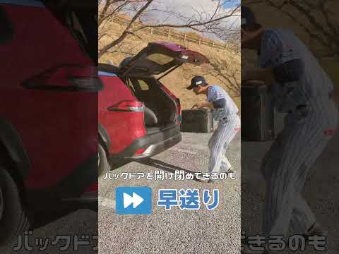 ネッツトヨタ北九州 × 北九州下関フェニックス コラボ企画(おまけ動画あり!