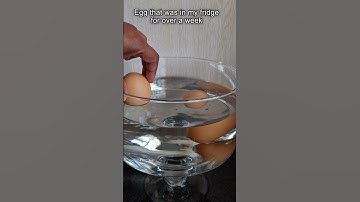 Is Your EGG Fresh? Find Out in 5 Minutes!