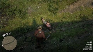 RDR2: I hate Murfree Broods