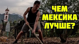Уехал из России и стал помощником агронома в Мексиканской деревне | annoying vlog #7