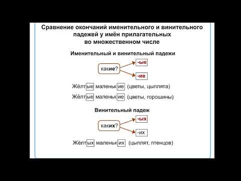 склонение имен прилагательных женского рода и множественного числа