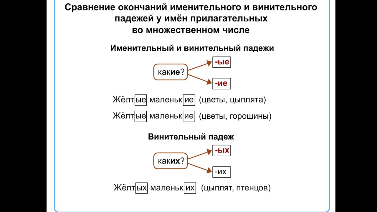 Как отличить именительный. Винительный падеж имен прилагательных во множественном числе. Именительный и винительный падежи имен прилагательных. Именительный и винительный падежи. Именительный и винительный падежи во множественном числе.