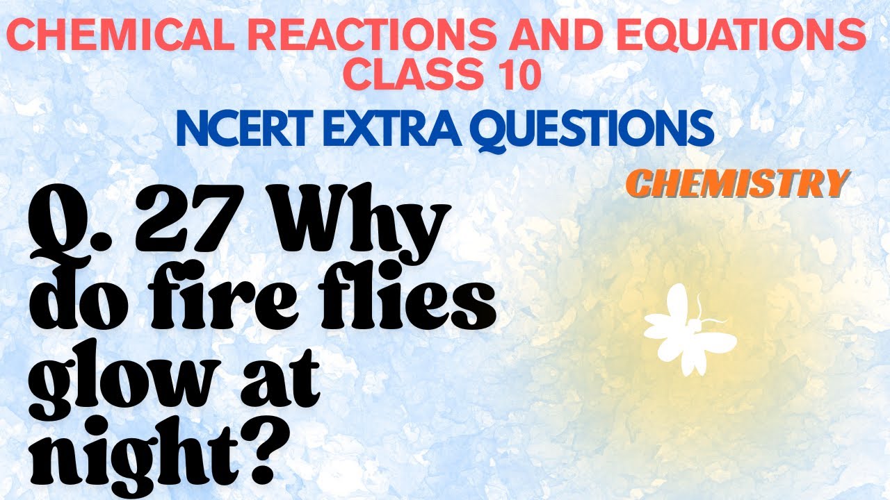 Why do fire flies glow at night? YouTube