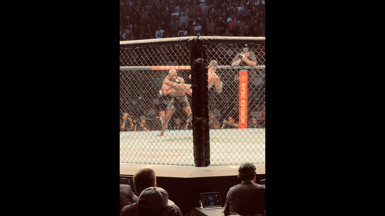 UFC 278 FAN 4K RINGSIDE VIEW OF LEON EDWARDS KO OF KAMARU USMAN!