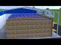 Хранение овощей в контейнерах от МАС Системз