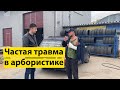 Частая травма в арбористике