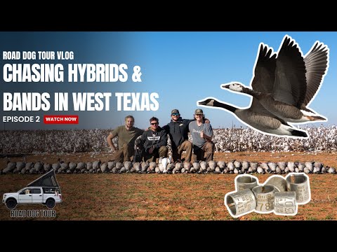 Chasing HYBRIDS and BANDS in West Texas | Road Dog Tour Ep. 2