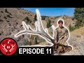 Hunt Winner Success in Utah! (Destination Elk V3 - Episode 11)