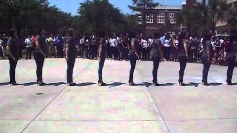 Lambda Theta Alpha - Gamma Epsilon - Lambda Lady Salute FSUnity Day 2012