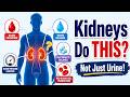 Kidney Anatomy and Function Explained 🫘 | How Your Kidneys Filter Blood & Make Urine