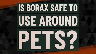 Is Borax safe to use around pets?