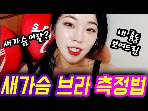 새가슴 브라 사이즈 측정법 알려드림!! 따라해보세요~ [밀크캣]