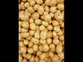 Potato 🥔🥔🥔🥔 Plant and Potato.