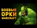 НАСКОЛЬКО РЕАЛЬНЫ БОЕВЫЕ ОРКИ WARCRAFT? | Ammunition Time