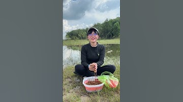 Câu cá hồ đá bàn bình dương #fishing #cauca #mayfishing #caucavatrainghiem #caucagiaitri